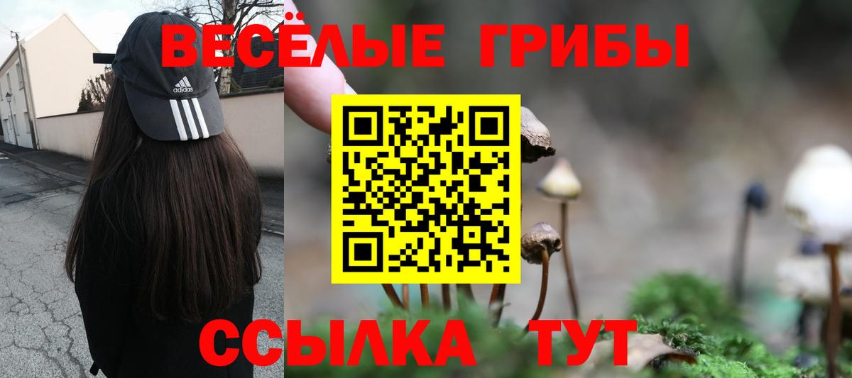 Псилоцибиновые грибы прущие грибы  Вход с VPN  Сухой Лог 